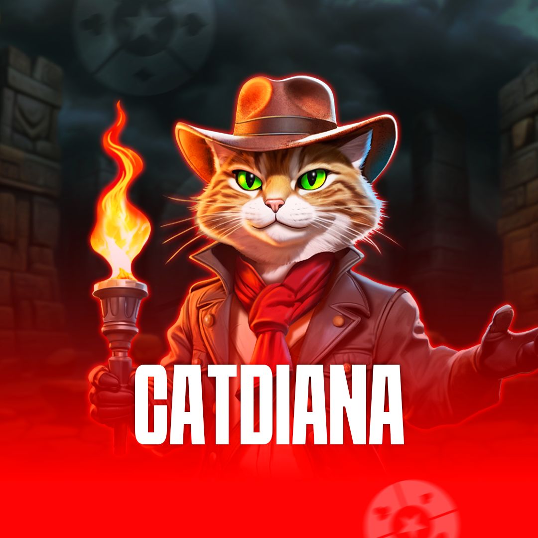 Timbeta login