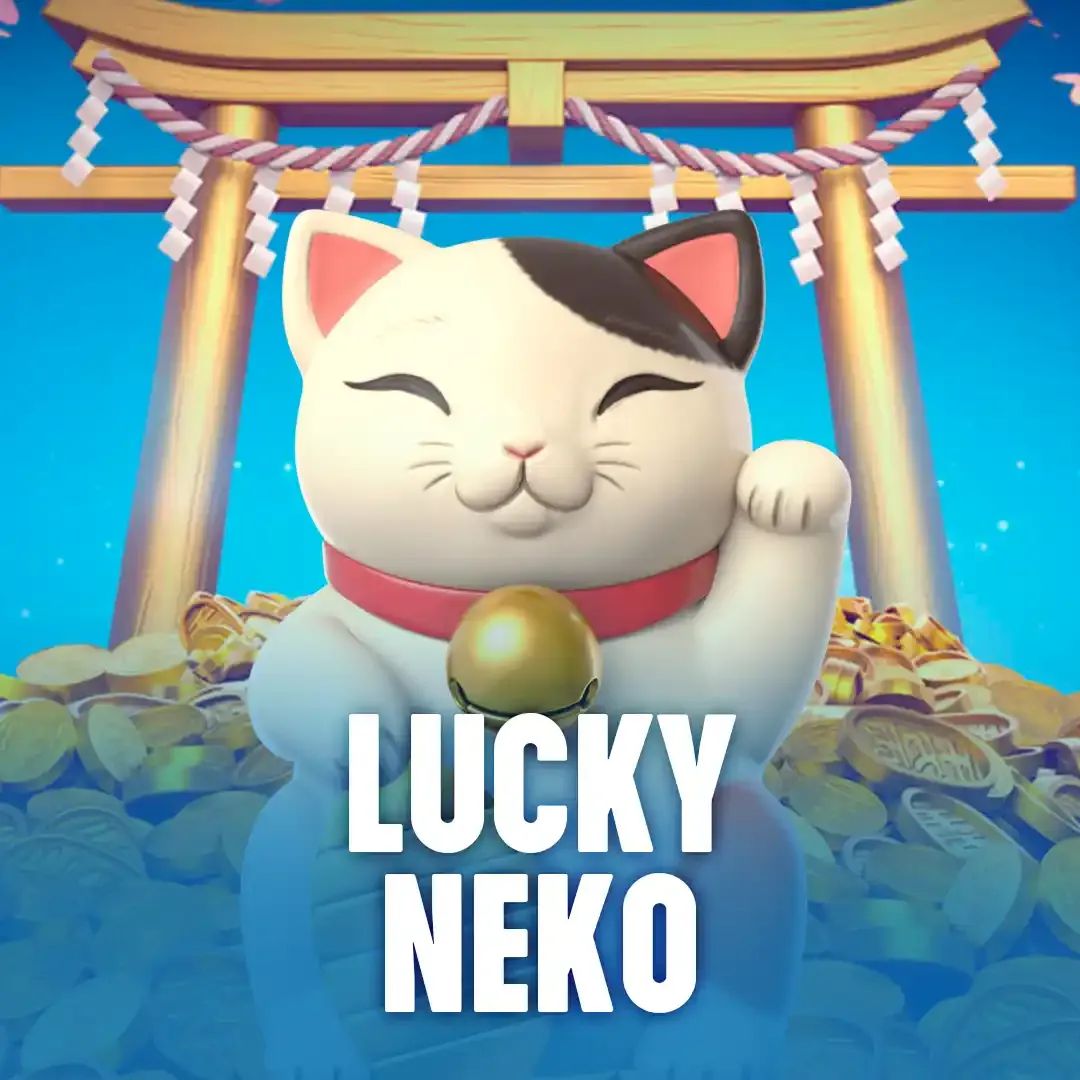 New top bet