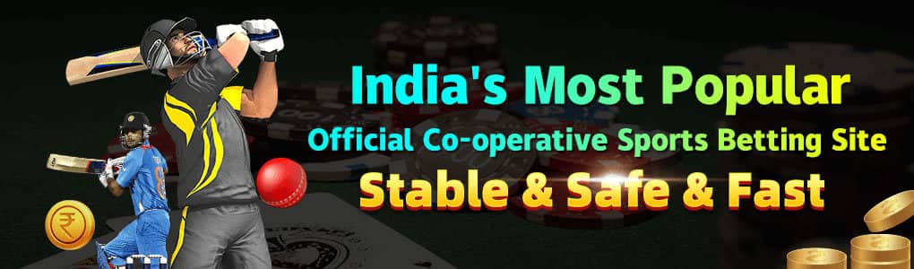 Stake casino app